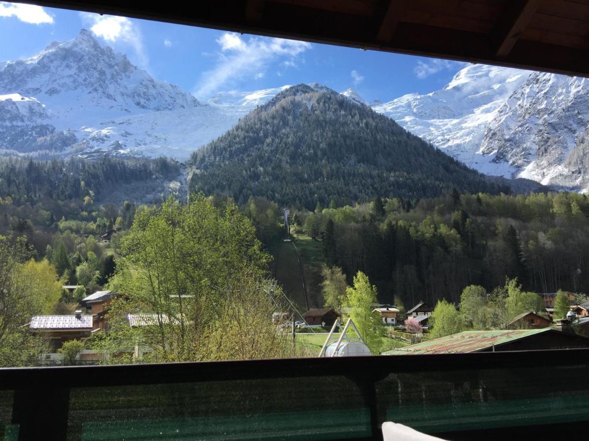 Appartement Face Au Mont Blanc & Glaciers Chamonix Ngoại thất bức ảnh