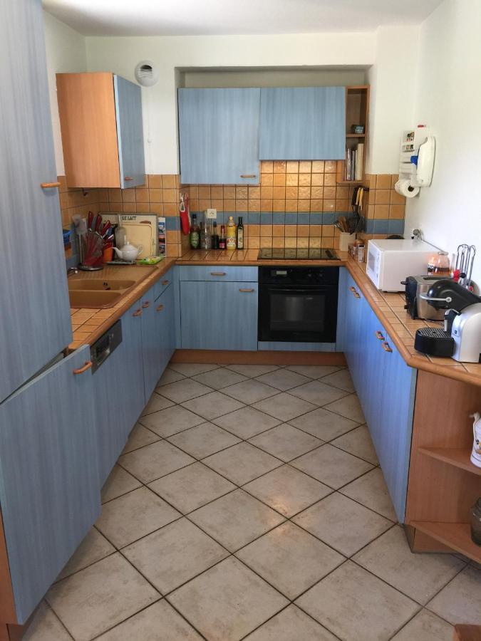 Appartement Face Au Mont Blanc & Glaciers Chamonix Ngoại thất bức ảnh