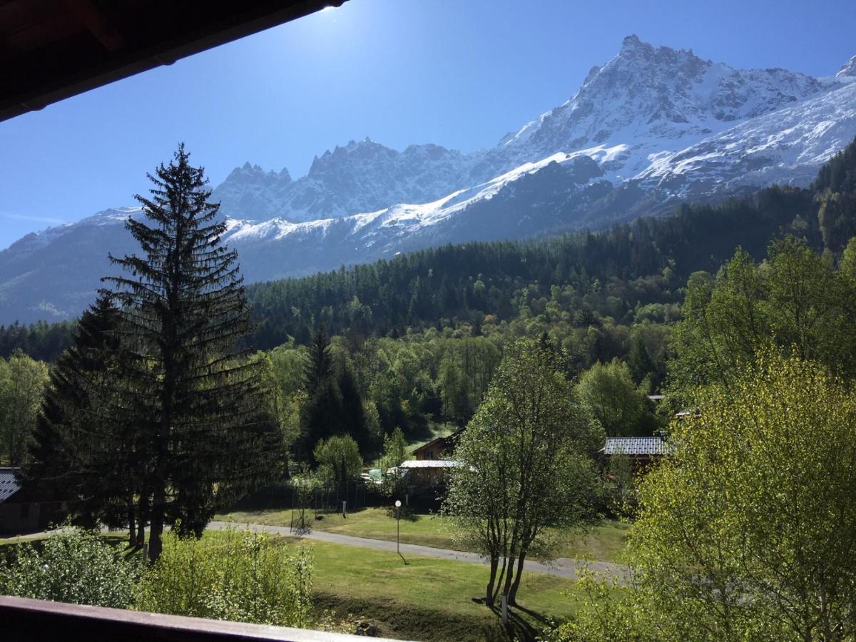 Appartement Face Au Mont Blanc & Glaciers Chamonix Ngoại thất bức ảnh