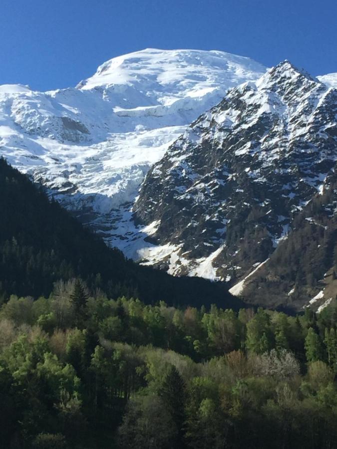 Appartement Face Au Mont Blanc & Glaciers Chamonix Ngoại thất bức ảnh