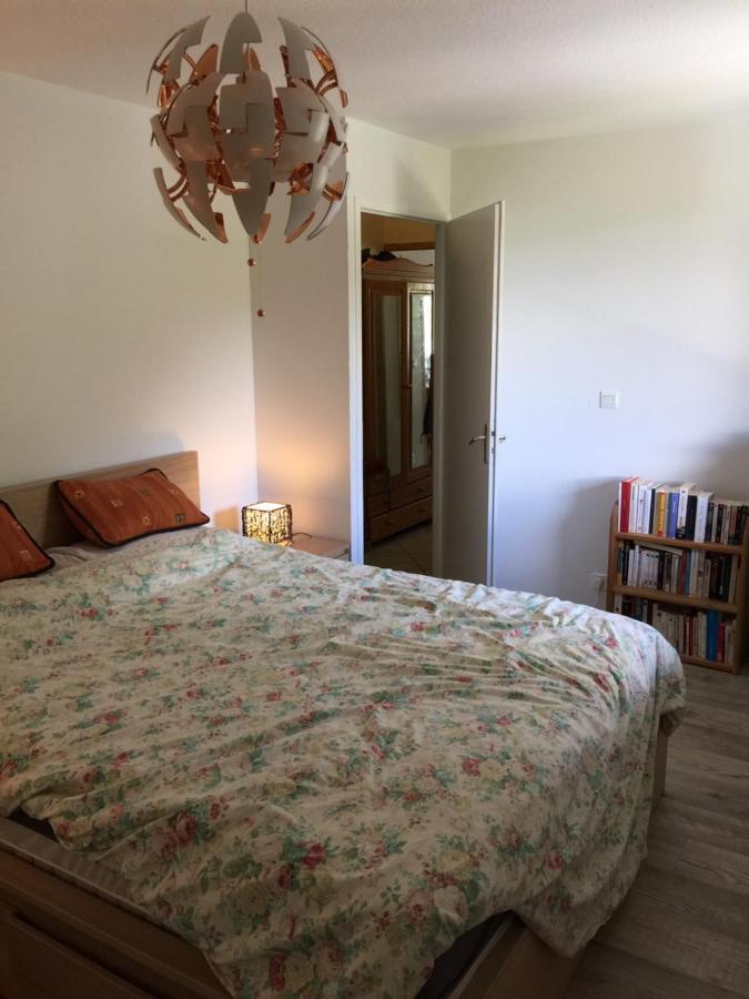 Appartement Face Au Mont Blanc & Glaciers Chamonix Ngoại thất bức ảnh